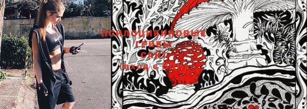 MDMA Premium VHQ Кукмор