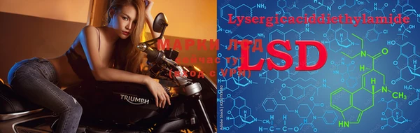 спайс Лагань